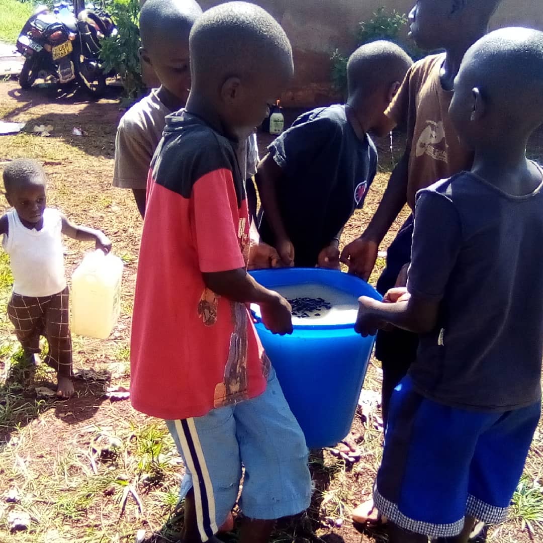 SchoolsTrees1's tweet photo. Solutions to the Climate Crisis should be sustainable but can be even more effective when young people are empowered to take the lead. This morning we tried out our natural fertlizers composed of urine, ash and water for the  kid's vegetable gardens.We wait to see the results. https://t.co/iVqihp4PpB