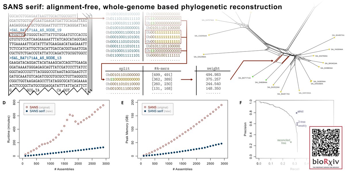 For those of you interested in #whole_genome approaches to #phylogenetic reconstruction, I'm happy to share a new #preprint <a href="/biorxivpreprint/">bioRxiv</a>:

doi.org/10.1101/2020.1…

Happy New Year &amp; Stay Healthy!