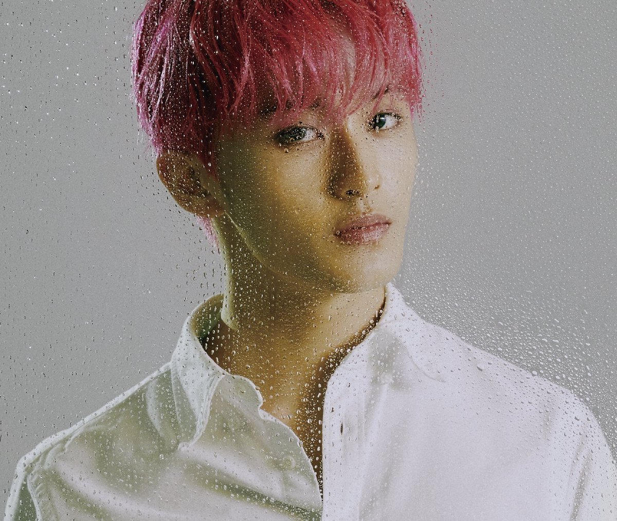 Me0w close tweet media
