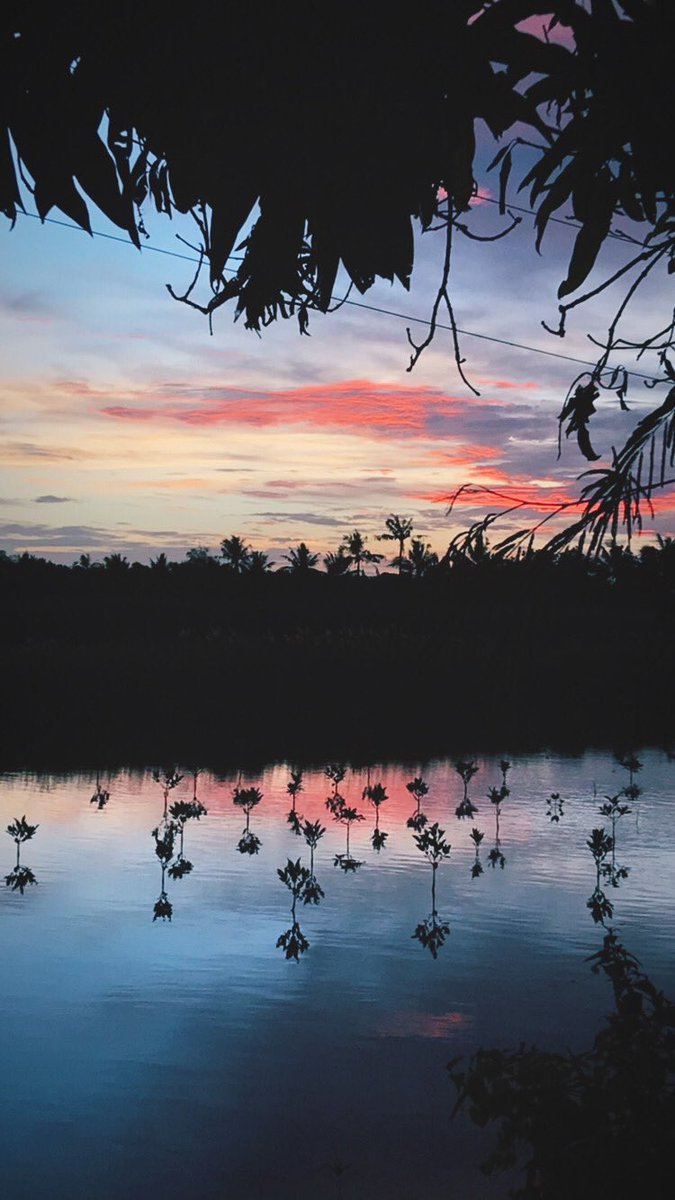 janellebenin's tweet photo. today’s sunset https://t.co/pBatJoUBPu