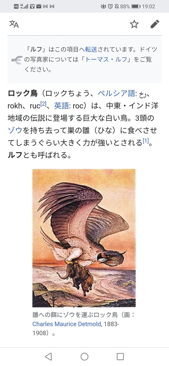 鳥 ロック