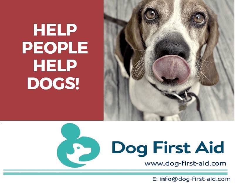 Dogfirstaidoxon's tweet image. Did you know that you can host a virtual #DogFirstAid course which will help you raise funds for your business or #charity while helping the dog loving community? For more info contact me Bridget.simms@dog-first-aid.com #Oxfordshire #berkshire #buckinghamshire #southmids