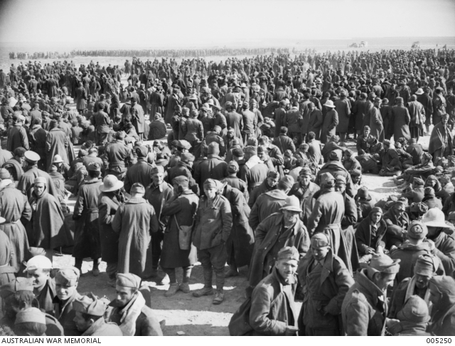 Bardia was captured in under 2 days. The battle concluded on the 3rd day; Italian losses were 1,000 KIA, 3,000 wounded and 45,000 men, 462 guns, 117 light tanks, and 12 medium tanks captured. The cost for the Australians was a relatively modest 456 casualties incl. 129 KIA.20/27