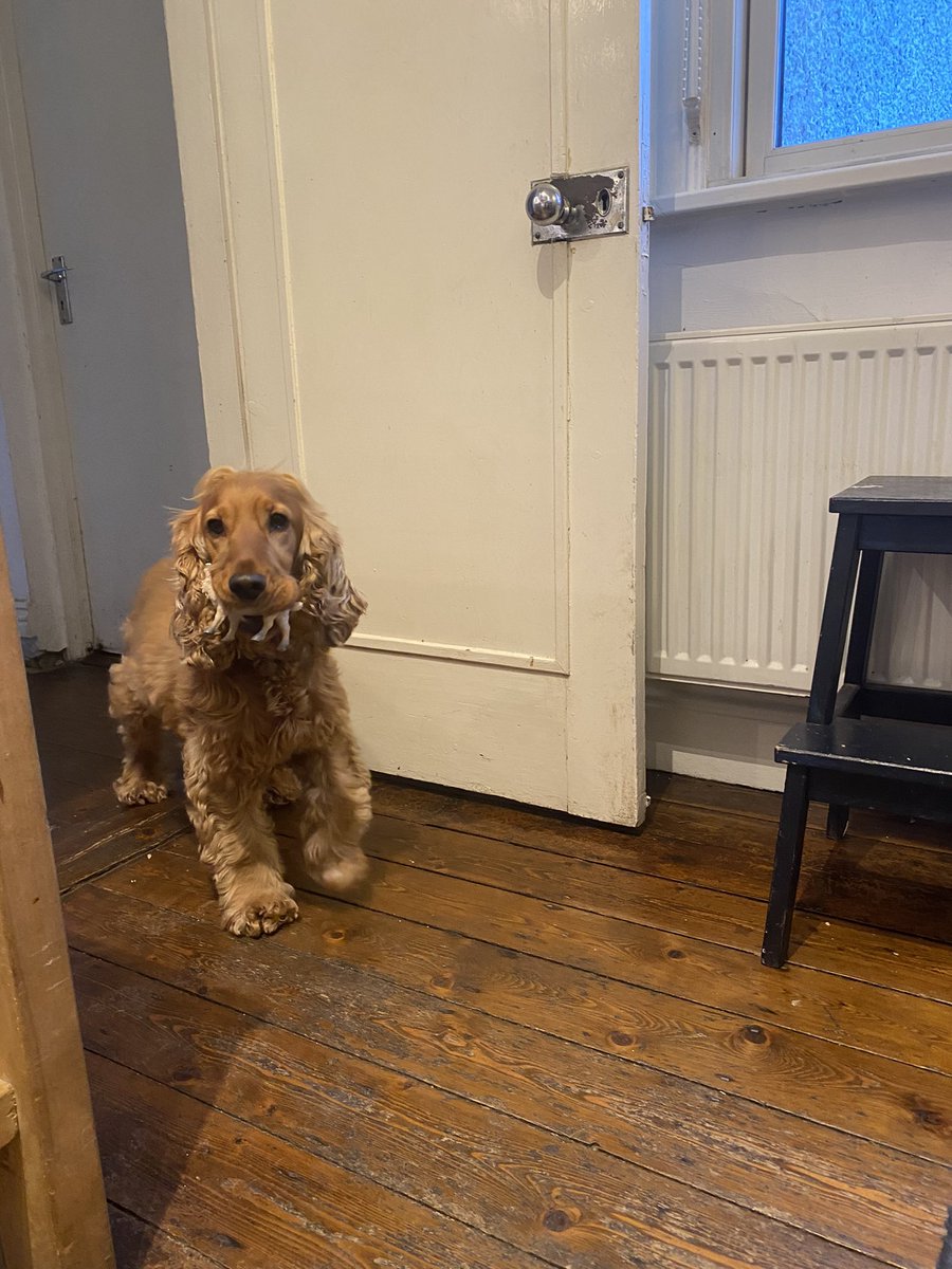 She ate the face off him 