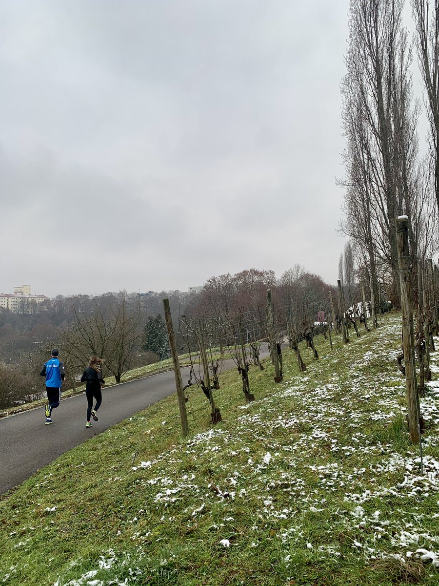 lukizzl's tweet photo. Monday Morning Running ๐๐ปโโ๏ธ๐๐ผ๐๐ป#TwitterLaufGruppe
14 / 1.000km โ
#RUN711 #LaufzeitSTR https://t.co/GGJY6fpMnV
