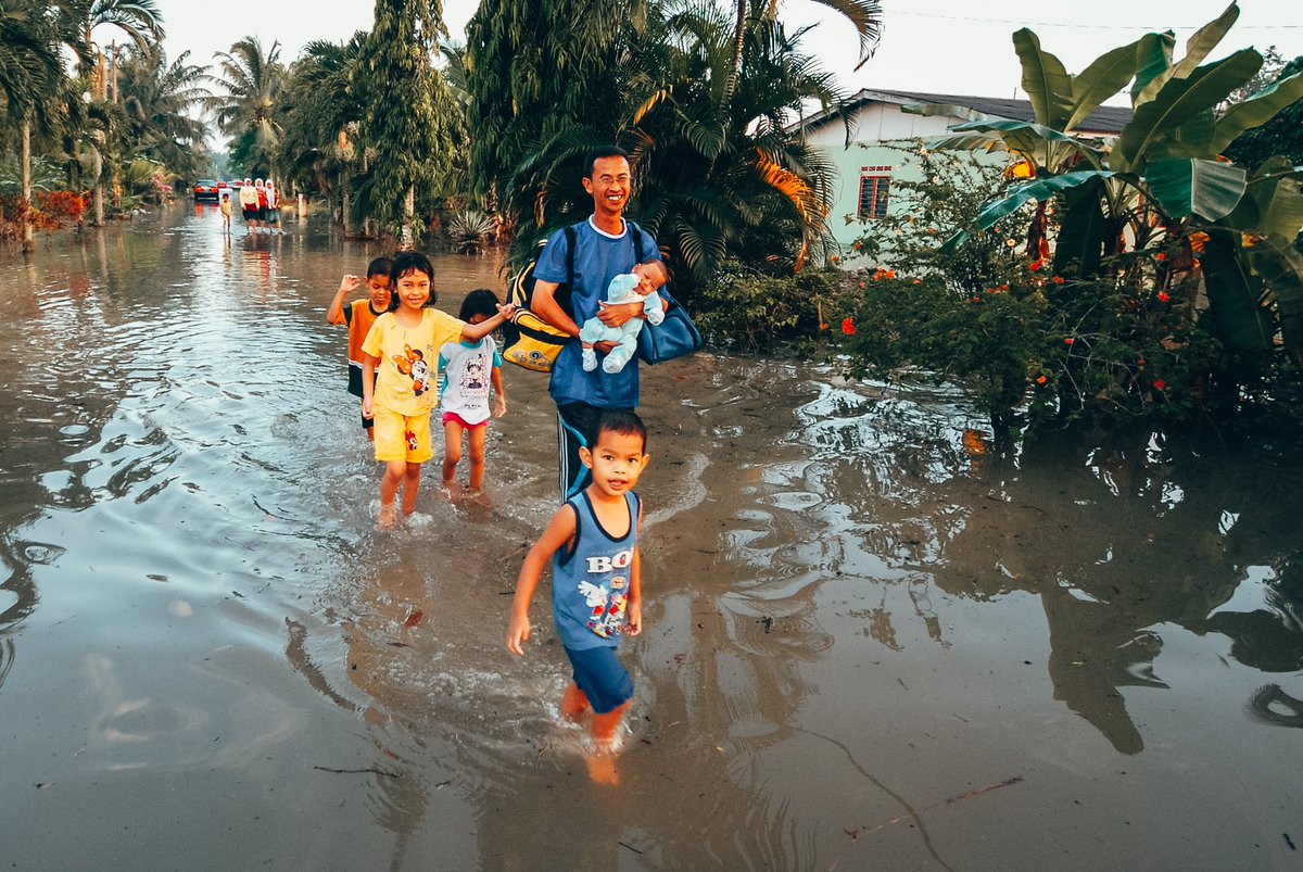 4. Banyak pokok mati.Bila air bertakung, banyak pokok (buah-buahan, bunga, sayur dll) akan lemas.Kampung aku langsung takde pokok durian. Ia pokok paling manja. 100% confirm mati bila banjir.Pokok paling tahan, pokok sawit. Sebulan bergenang air, takde satupun yang mati.