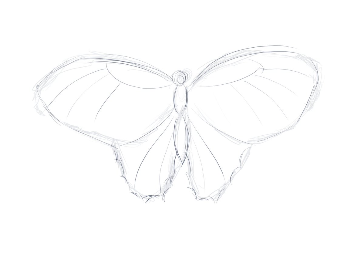 EtelLabodi's tweet photo. Something new for today🤗
A digital drawing is in progress. 🙂
#butterfly #digital #digitalpainting #digitalart #digitaldrawing #digitalbutterfly #drawing #painting #photoshop #animal #art #artist #digitalartwork https://t.co/nhL7IV7TfN