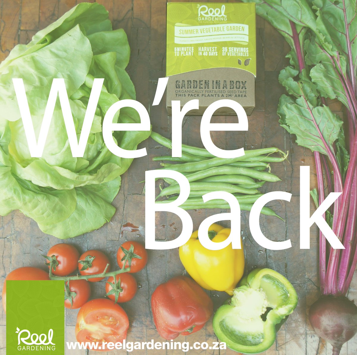 Reel Non Profit Organisation tweet media