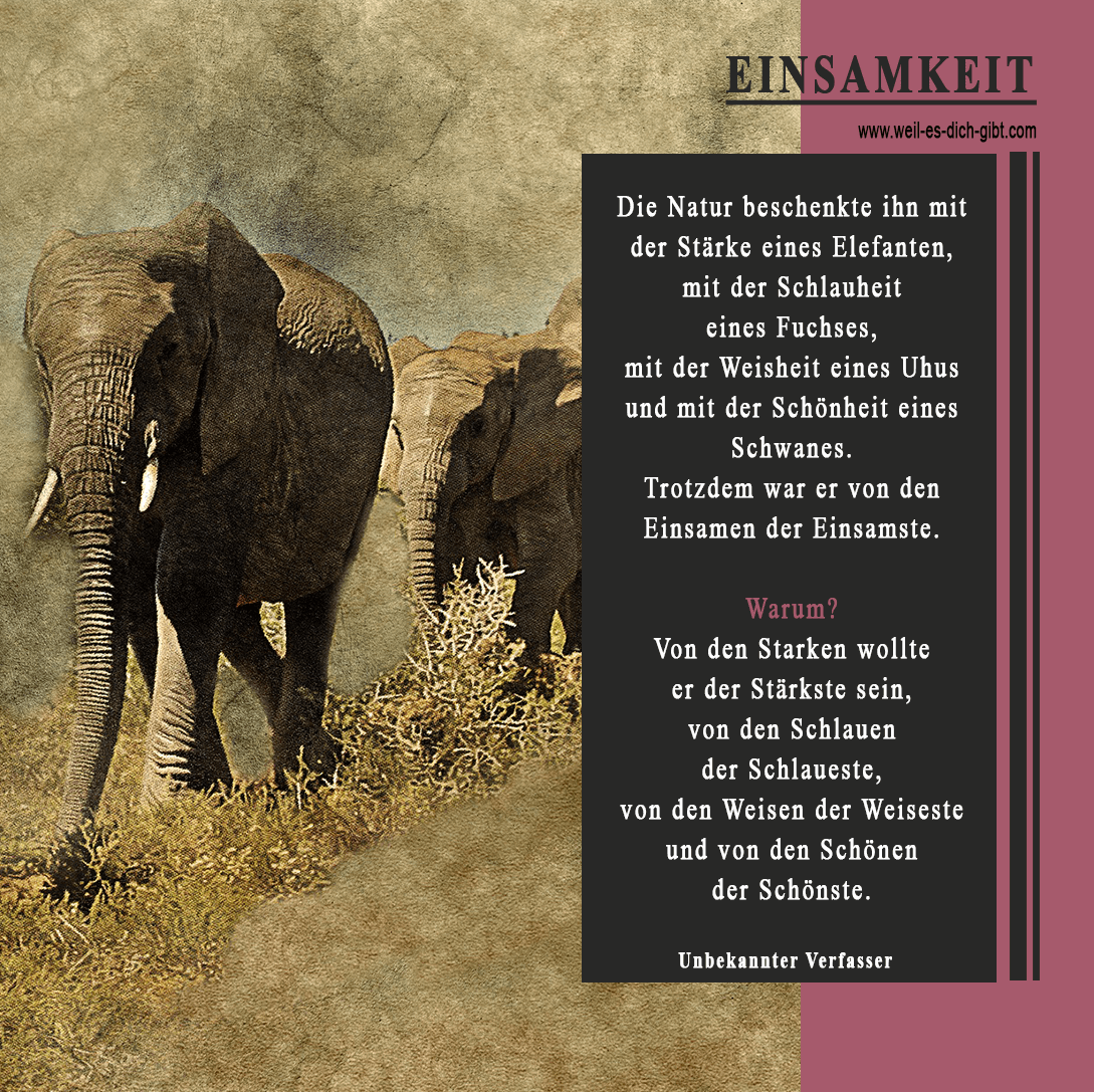 Einsamkeit Sprüche Zitate