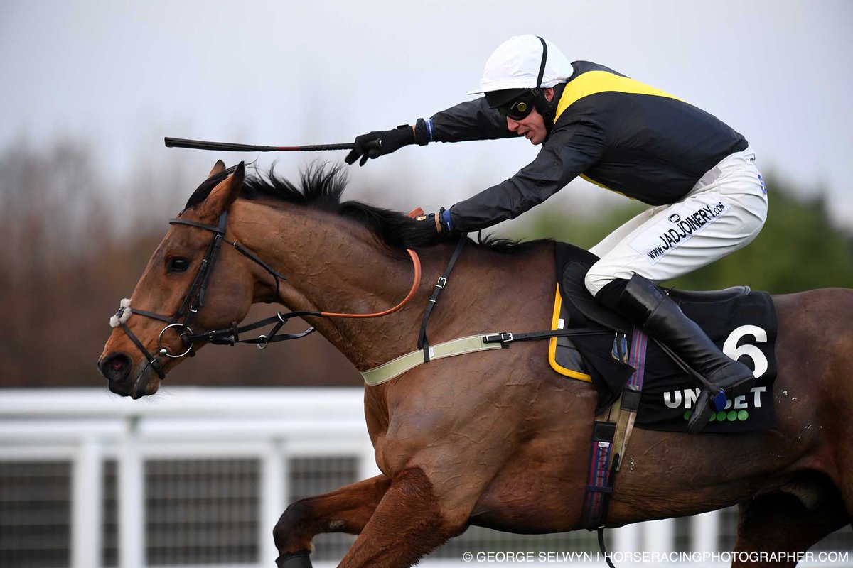 TheOwnerBreeder's tweet photo. How great was it to see Seeyouatmidnight rolling back the years to win at Sandown on Saturday? His trainer Sandy Thomson, @LambdenRacing, features in our latest edition of The Finish Line >>> https://t.co/pDyNSTFESh https://t.co/RhFExNCxQY