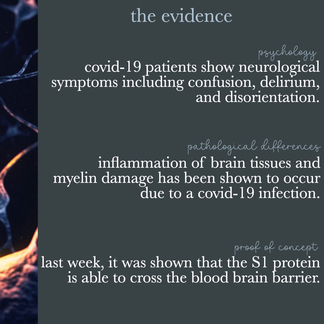 infectiousdaily's tweet photo. Neuroscientists are worried! SARS-cog-2 can cross blood brain barrier 🧠 🦠
.
.
Learn more on our page below 
https://t.co/9Cc6A32vig

#brain #pandemic #COVID19 #StayHome #infectiousdiseasedaily https://t.co/hQCzN1nSxK