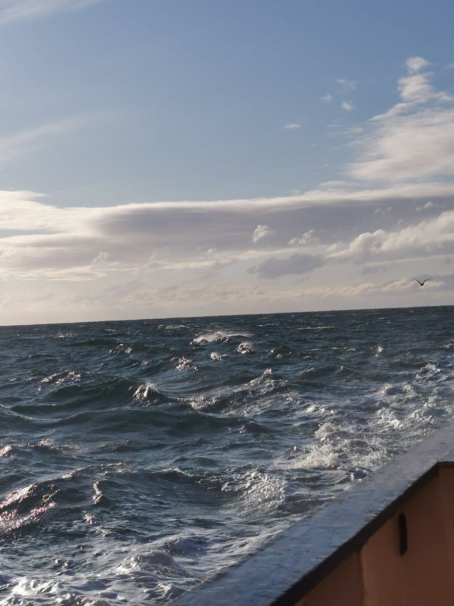 oban jones (@jonesoban) on Twitter photo A fresh start to 2021 sampling aboard <a href="/PlymouthMarine/">Plymouth Marine Lab</a> RV Quest at the #Westernchannelobservatory station L4 A fresh start to 2021 sampling aboard <a href="/PlymouthMarine/">Plymouth Marine Lab</a> RV Quest at the #Westernchannelobservatory station L4