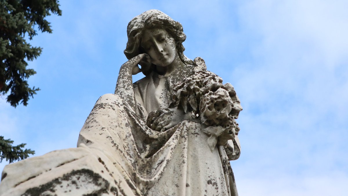 Canadian Cemetery History tweet media