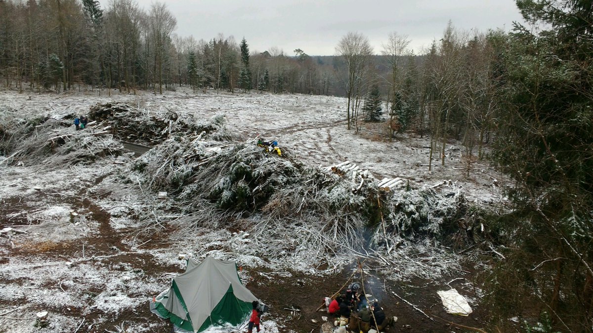 Good morning from the hammock in #herribleibt! After an exiting morning with a harvester we ate breakfast and are getting productive right now. We are building new treehouses and other struktures. Any help is welcome!
#dannilebt #dannibleibt