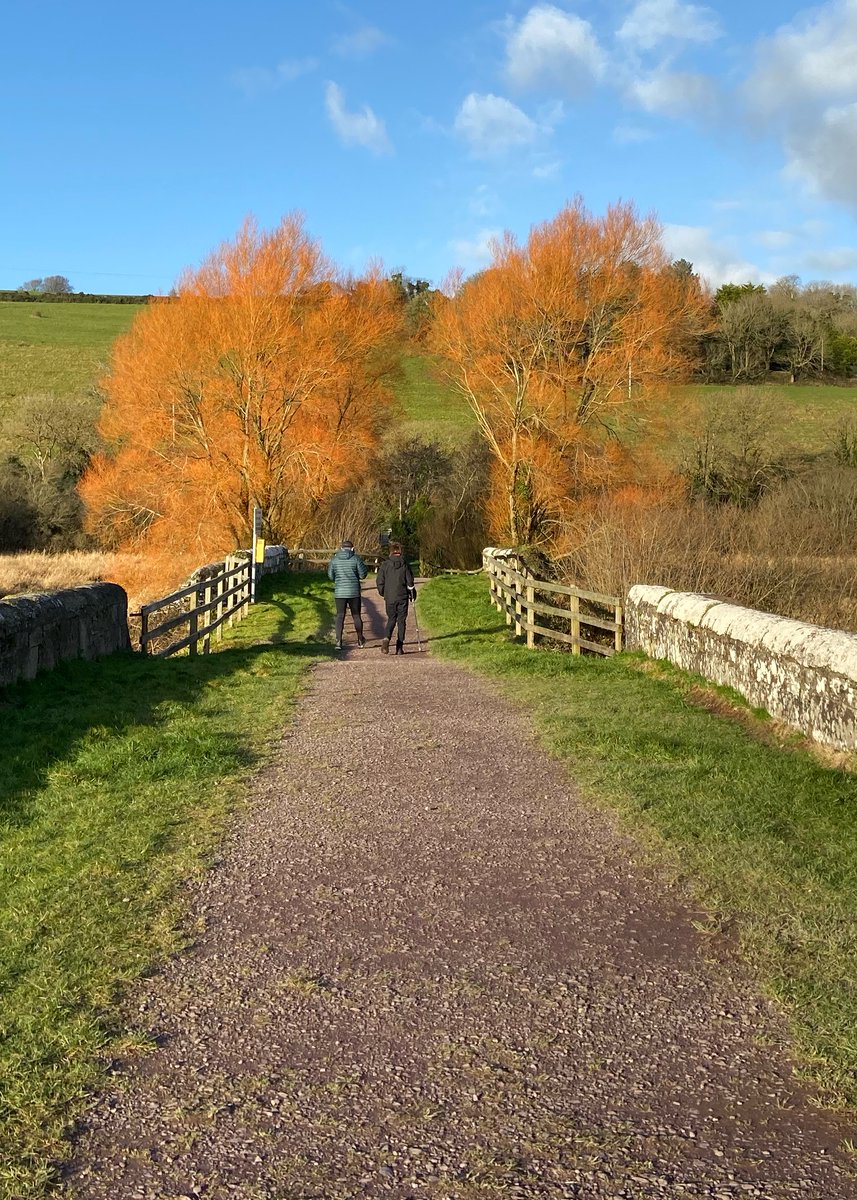 Wild Atlantic Family tweet media