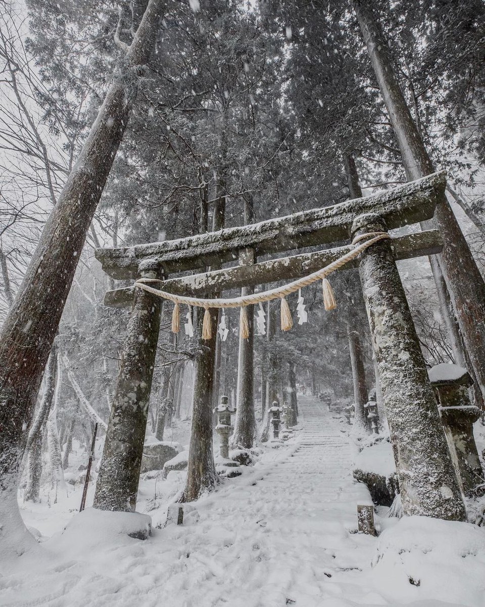The entrance to Takasumi Shrine covered in snow ⛩❄️⁣ 

#japan #winter