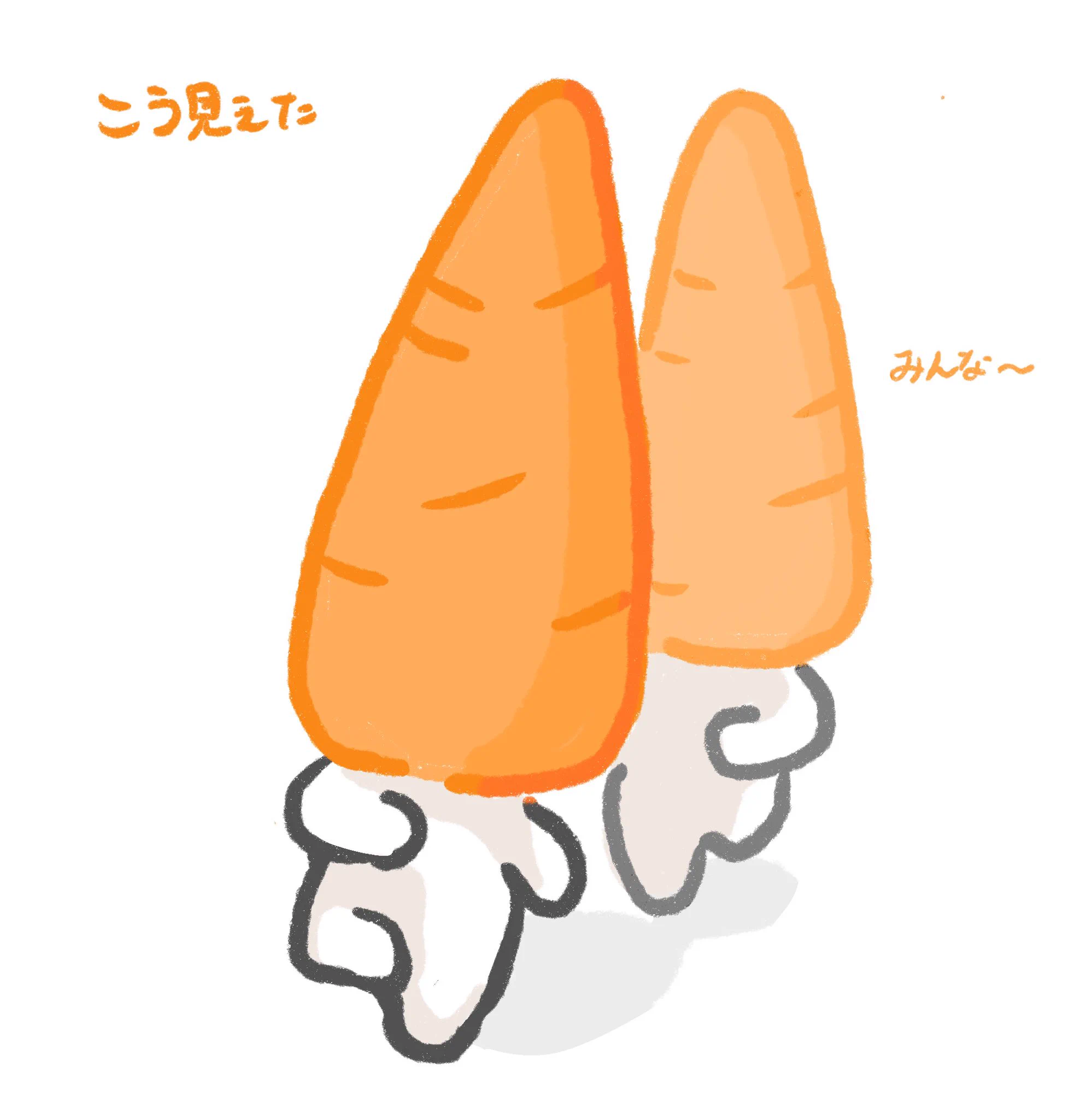独特なデザインのキャラクターかと思いきや？www人参のイラストを上下逆さに見ていただけだったwww