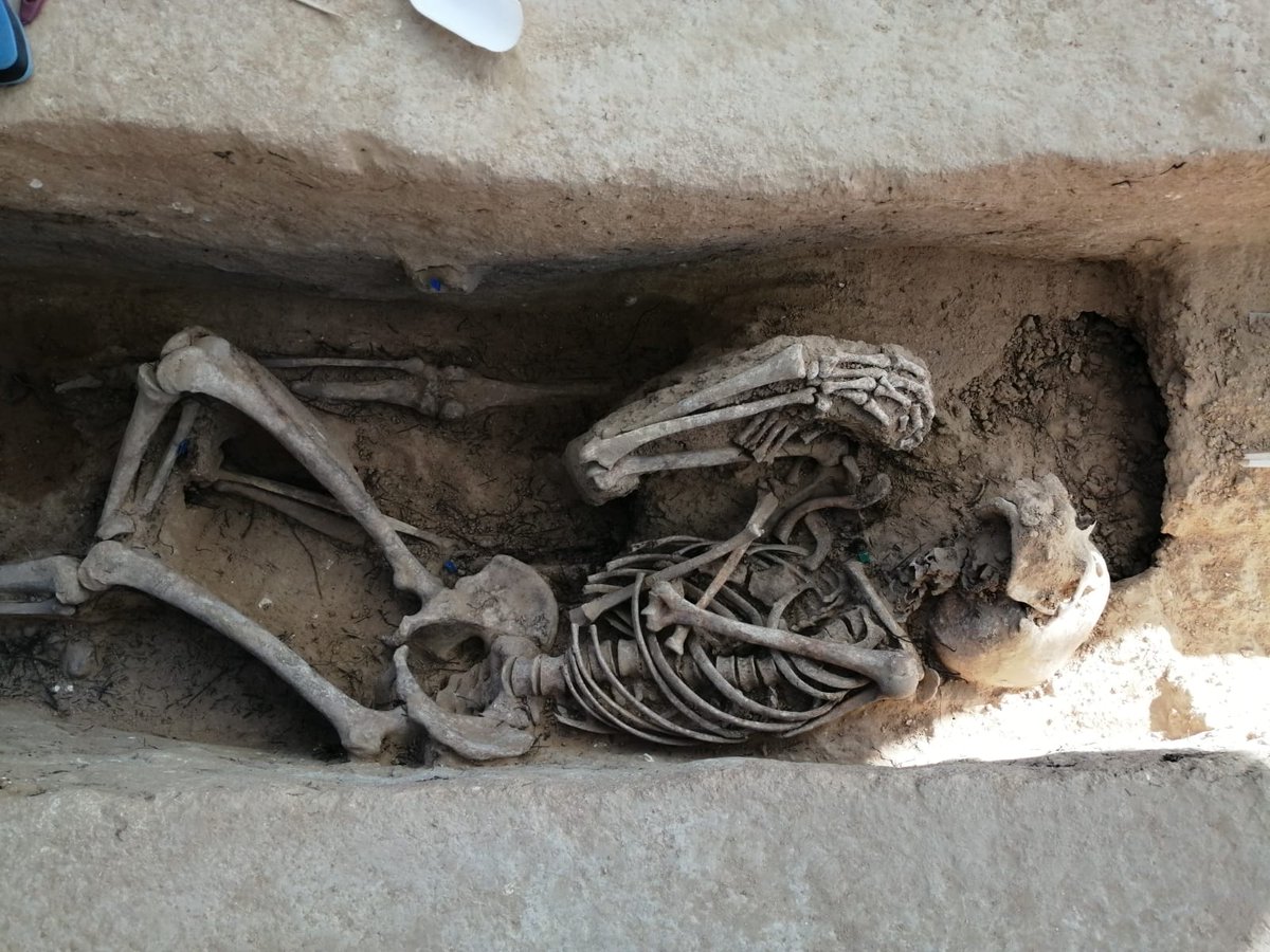 justiciacat's tweet photo. 📷 #Justícia localitza una seixantena de fosses al Mas de Santa Magdalena, a Móra d'Ebre (Ribera d'Ebre). 

☝️ L’exèrcit republicà va utilitzar la masia com a hospital de guerra.

📌 Els arqueòlegs han recuperat 13 individus a la fossa més gran. 

📲 https://t.co/KUzLt6VHEm https://t.co/kIStyVYUMI