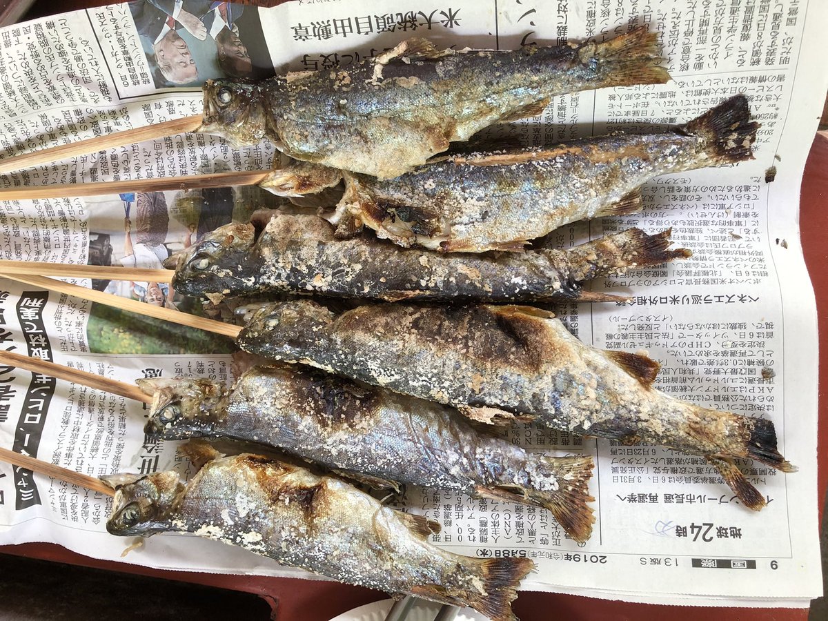 さかな芸人ハットリ ニジマスはもちろん美味しいので じゃんじゃん食べましょう もうひとついうとバス ギルも美味しいので食べましょう 気休めかもしれませんが 外来種を釣り人が率先して食べれば 保全vs釣り人って構図がやわらぐ気がするんです