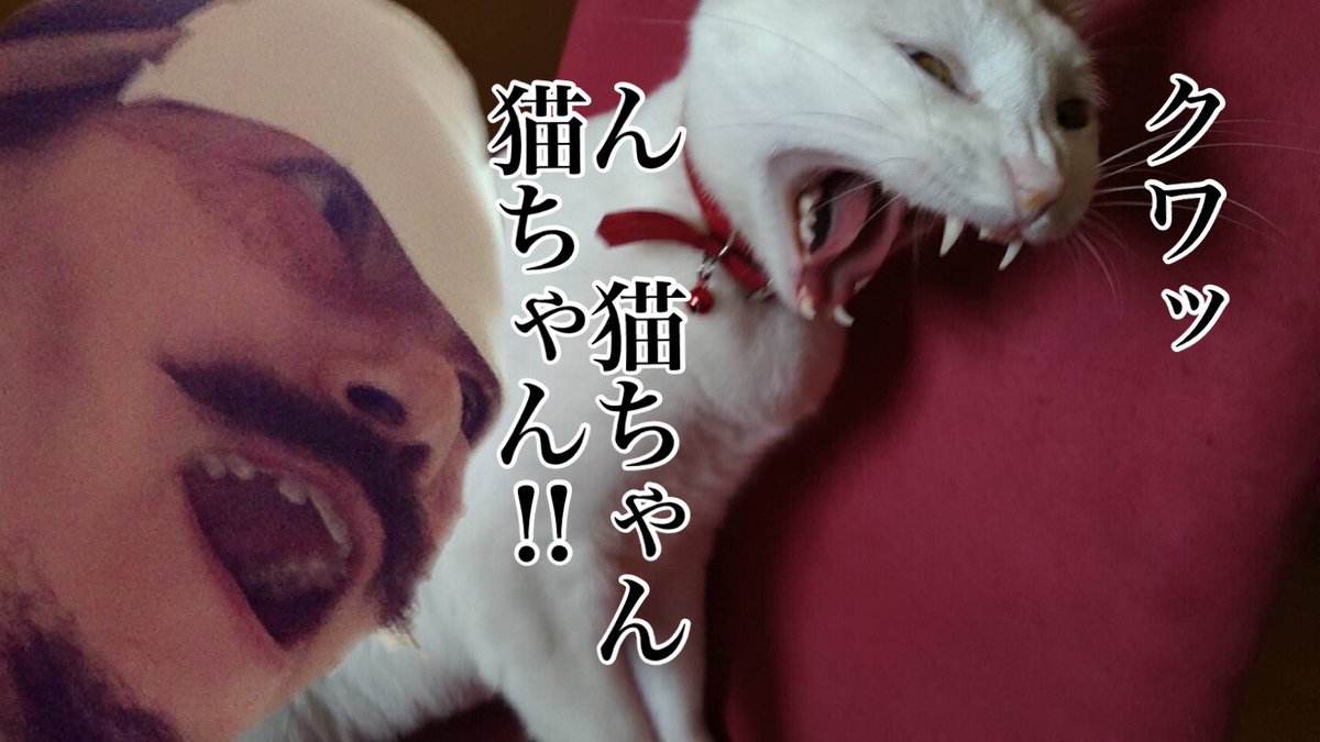 rt 一方、うち…_(┐「ε:)_同じ様に同一作品を楽しむコスなのだが… 