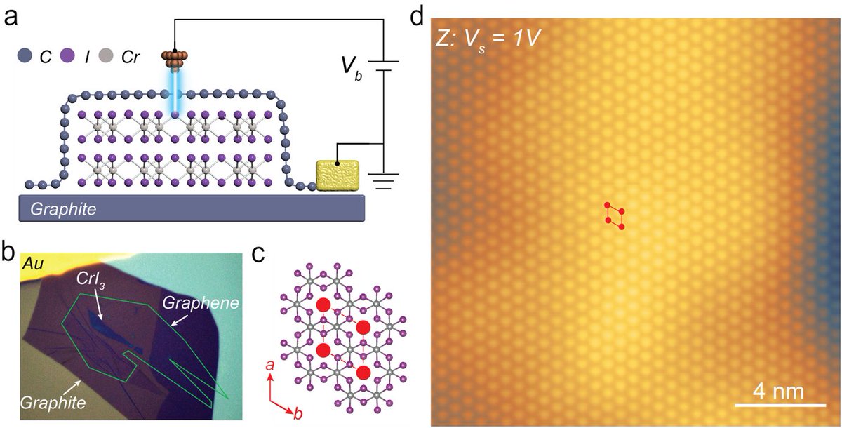 The first paper in 2021. Visualizing atomic structure and magnetism of 2D magnetic insulators via tunneling through graphene. nature.com/articles/s4146…. Thanks for all the collaborators!