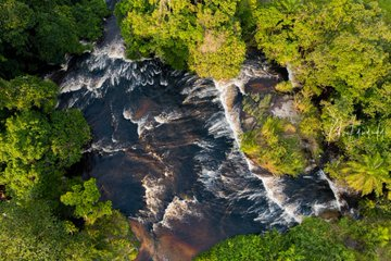Le Congo Est Chic tweet media