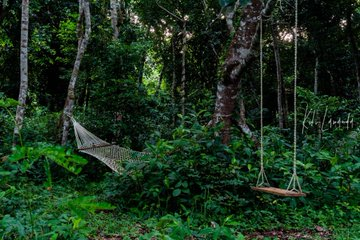 Le Congo Est Chic tweet media