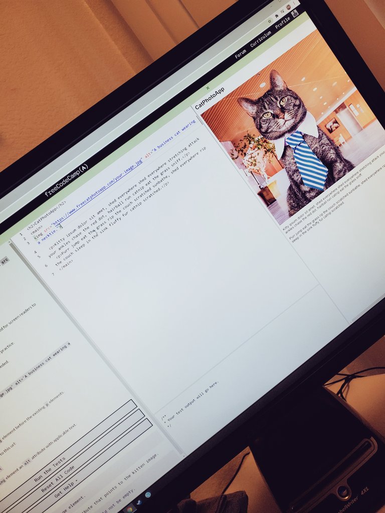 Binki604's tweet image. I would like to think HTML and CSS training are going.... VERY WELL.
#LearningHTML #SendHelp #htmlcss #WhyAmIDoingThis #HackerMan