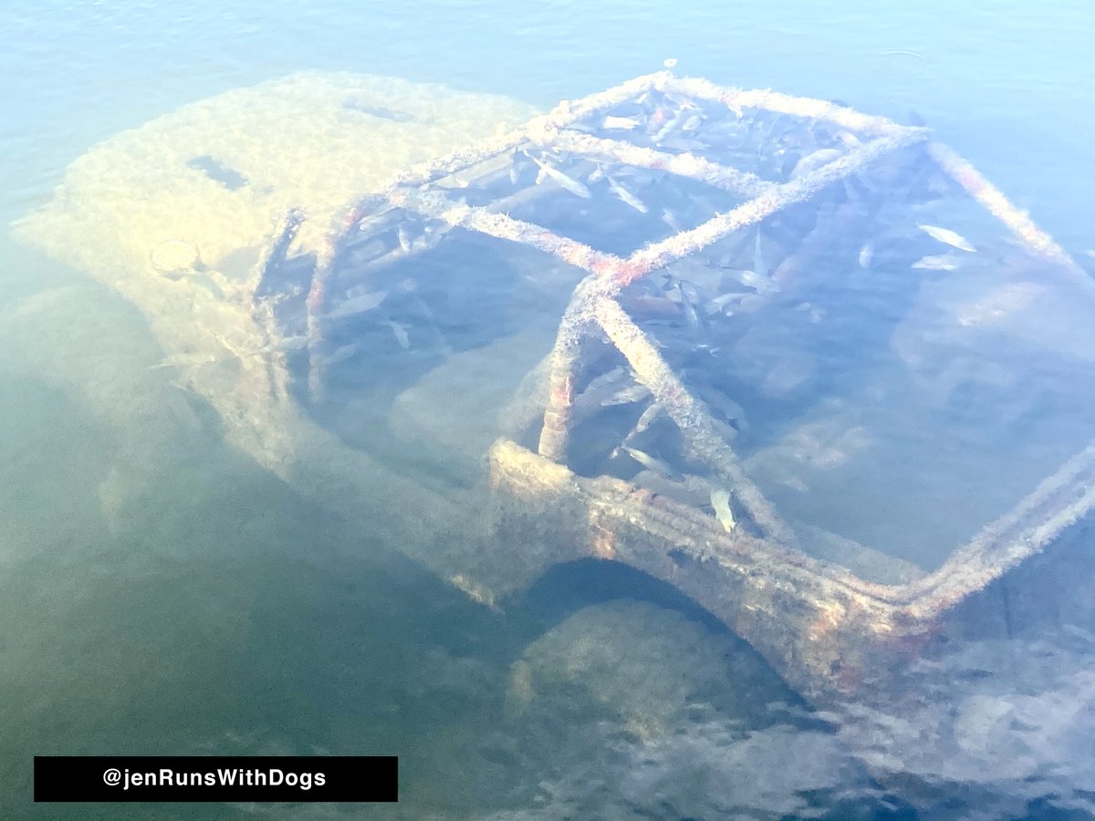 Want to help me solve a mystery?About 3.5 miles down an abandoned road in the Florida Keys - a road closed to cars and impassible by them - I have found this submerged car. I think it's a jeep. 1/