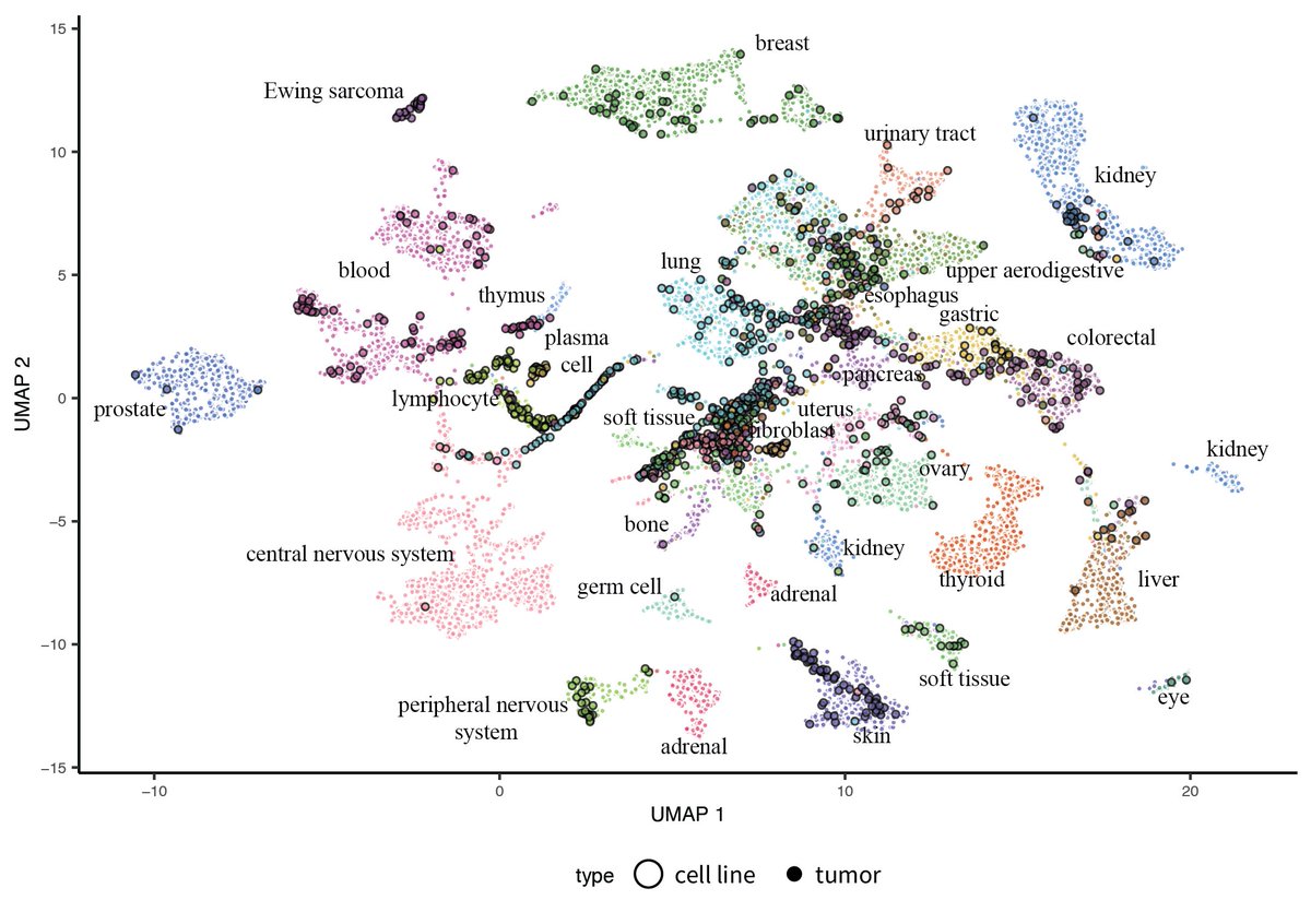 Guillaume Kugener (gkugener) Twitter
