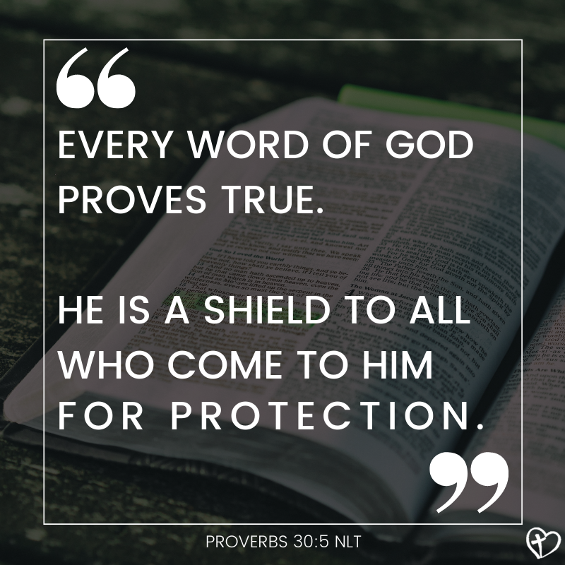 God's Word... ALWAYS TRUE!
The same yesterday, today, and tomorrow.
#mondaymotivation #made2thrive #loveinctusc
