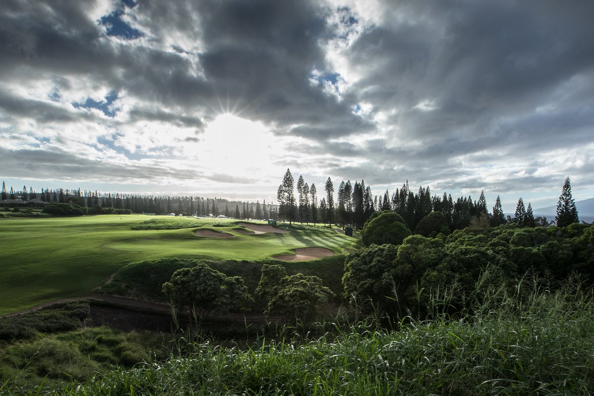 PGATOUR's tweet photo. Aloha, 2021. 🙌 https://t.co/haXkwBggPE