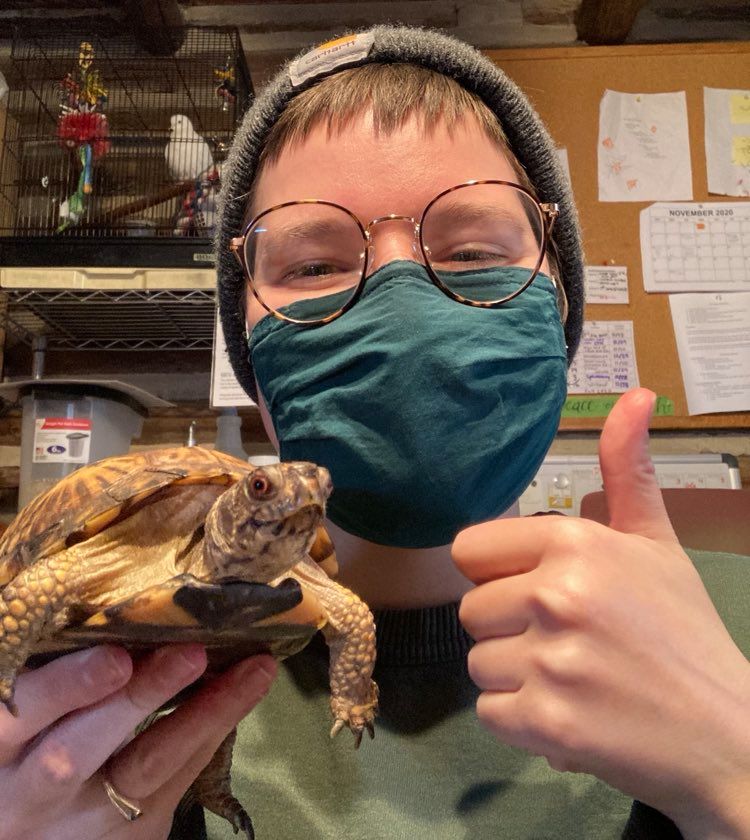 CitSciMonth's tweet image. It’s Grace again from @pwc_wildlife! My role here at PWC is to manage our box turtle study and citizen science project, as well as care for our 24 Ambassador Animals. Here’s a #shellfie with me and Shelly, our only female box turtle ambassador! Can you tell male &amp;amp; female🐢apart?