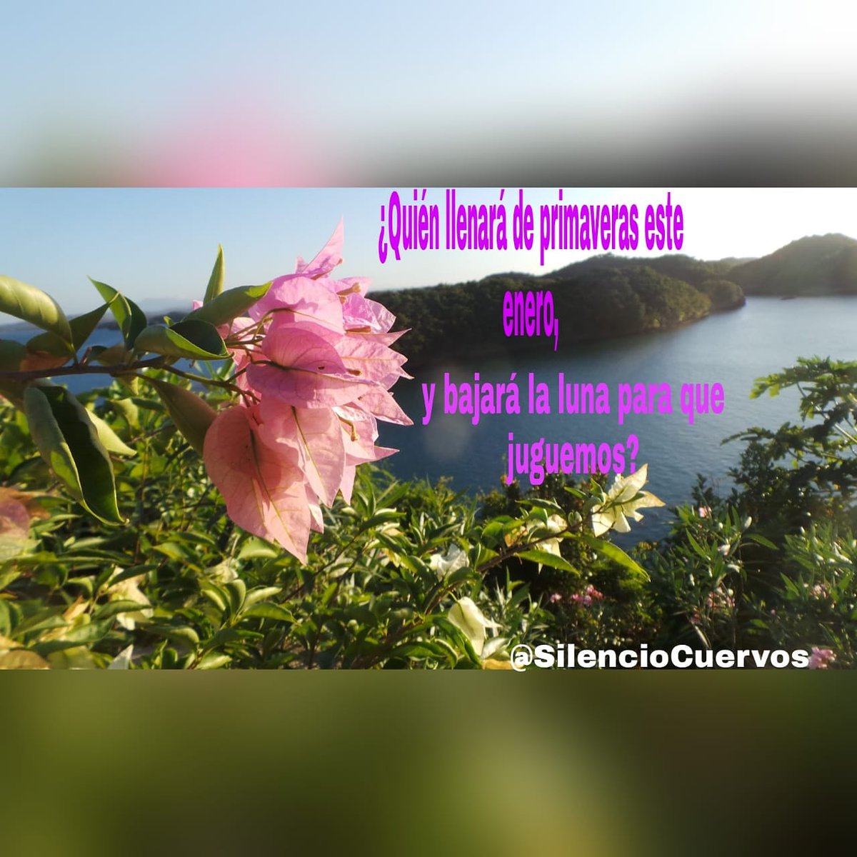 Lindo #Lunes arrancamos así bien arriba! #CorazónPartío 💓 <a href="/AlejandroSanz/">Alejandro Sanz</a> 🥰 <a href="/SilencioCuervos/">silenciodeloscuervos</a>