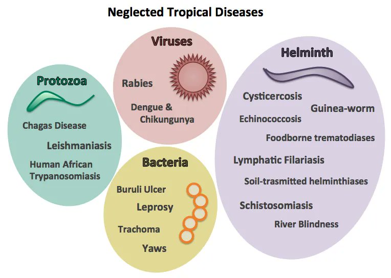 Secondly, vaccine research can take 7-10 years because money is limited.Money is limited because most infectious diseases are in tropical countries. But pharma is largely in US, Europe or Japan. Pharma doesn’t invest in tropical diseases because it’s not profitable.4/15