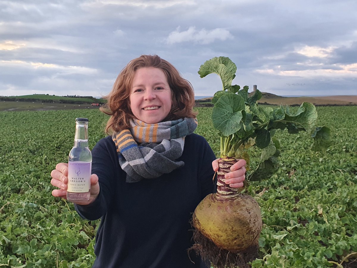 Haggis... neeps... and tonic? Find out why @WalterGTonic has created a neep-infused tonic water at bit.ly/3nlc4e5