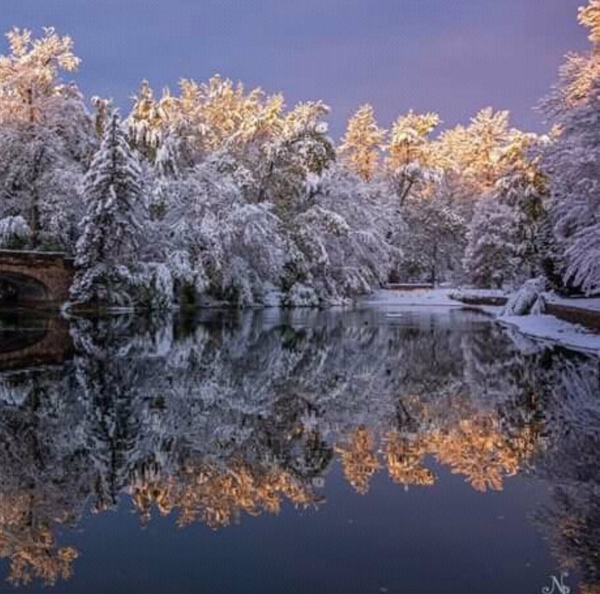 Miep51082958's tweet image. #WinterReflections