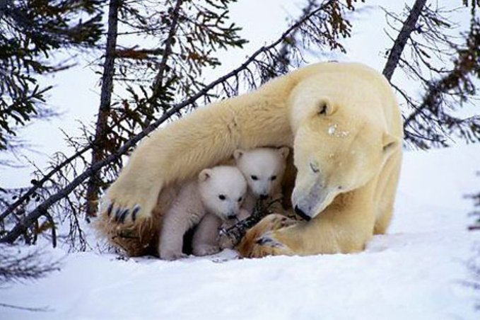 Edison_Youtube's tweet image. HAPPY MONDAY!!!