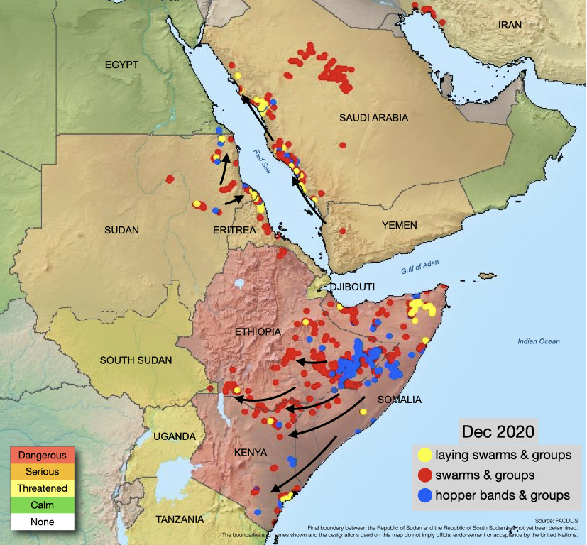 FAOPlants's tweet photo. Numerous immature swarms formed in eastern Ethiopia &amp; central Somalia during December, which moved to southern Ethiopia, reaching northern Kenya.

More swarms will arrive.

Check the latest #DesertLocust Watch report👉🏾https://t.co/p0qAyCHWZQ https://t.co/H8oPYdimEh