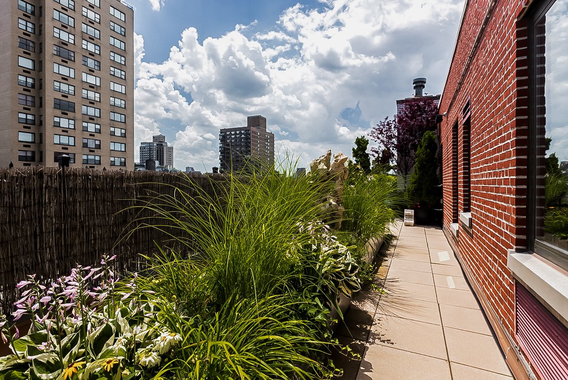 CDLS_NY's tweet photo. Did you know? Strategically planting trees and shrubs can save you up to 25 percent on your energy bills. While artistry plays a key role in our designs, sustainability is a crucial element we consider working with space when working with space. #NYCDesign https://t.co/DNWwofM9W7 https://t.co/NA4meuV2zU