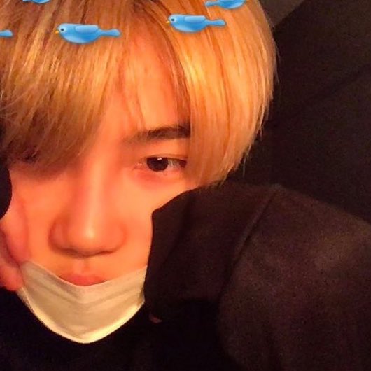 귀여워 😭😭😭😭