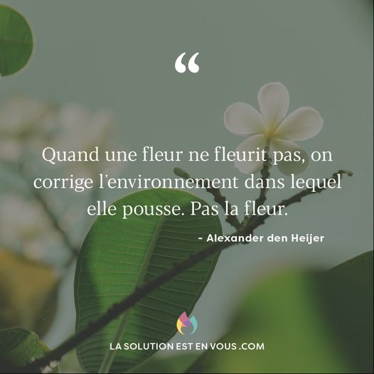 So4real6's tweet photo. "Quand une fleur ne fleurit pas, on corrige l'environnement dans lequel elle pousse. Pas la fleur."🌼Alexander den Heijer
#LaSolutionEstEnVous #Citation #Citations #Inspiration #Proverbe #Philosophie #Motivation #Choix #SantéMentale #Sagesse #DemainNousAppartient #Conscience https://t.co/KeFWHPgKh0