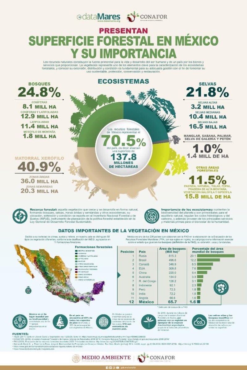 La @CONAFOR y dataMares presentan el #dataposter Superficie Forestal en #México y su importancia. 
Existen 5 grandes ecosistemas forestales en #México.