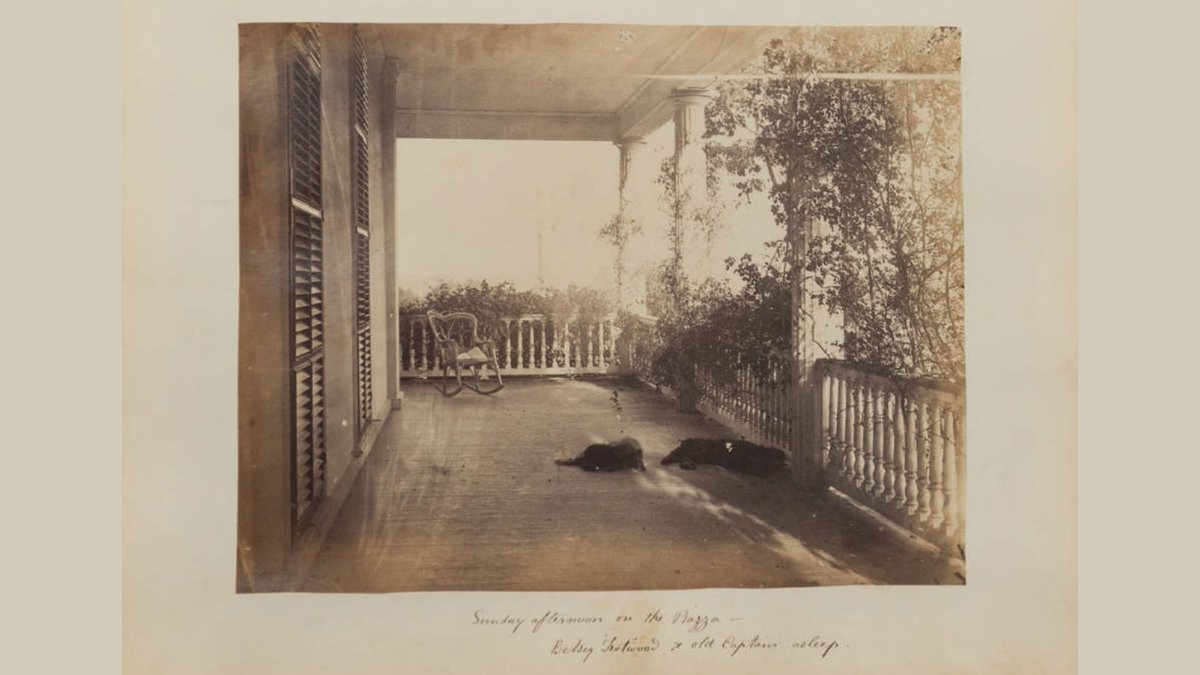 The Seton family photograph album (1867) depicts the family home of William Seton, grandson of St. Elizabeth Anne Seton. Explore Cragdon Cottage, where he raised his family, in Eastchester, which is part of the Bronx with the links ow.ly/wXrs50CZjJQ 
ow.ly/g0dm50CZjJP