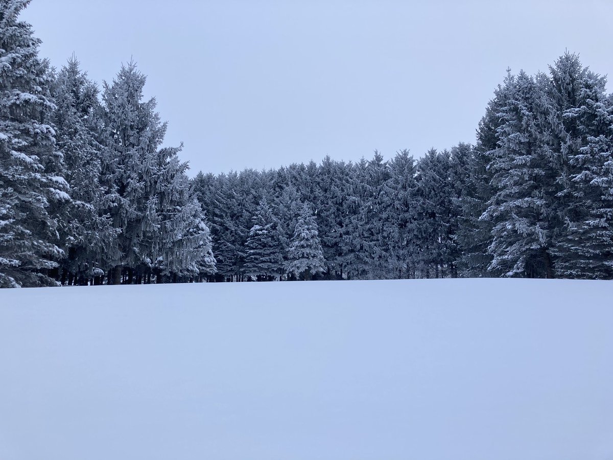 FredoniaVill's tweet photo. It’s winter, but we can still enjoy the scenery. This is the back of the Fredonia Government Center https://t.co/uDhVneB21S