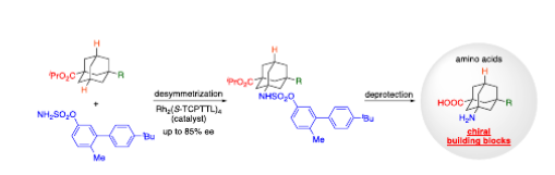 AdvSynthCatal's tweet photo. Accepted #VIP paper by Risa Yasue and Kazuhiro Yoshida: Enantioselective #Desymmetrization of 1,3‐Disubstituted #Adamantane Derivatives via #Rhodium‐Catalyzed C–H Bond #Amination: Access to Optically Active Amino Acids Containing Adamantane Core https://t.co/2MIiy3BDWQ https://t.co/wxVyrVrDJ9