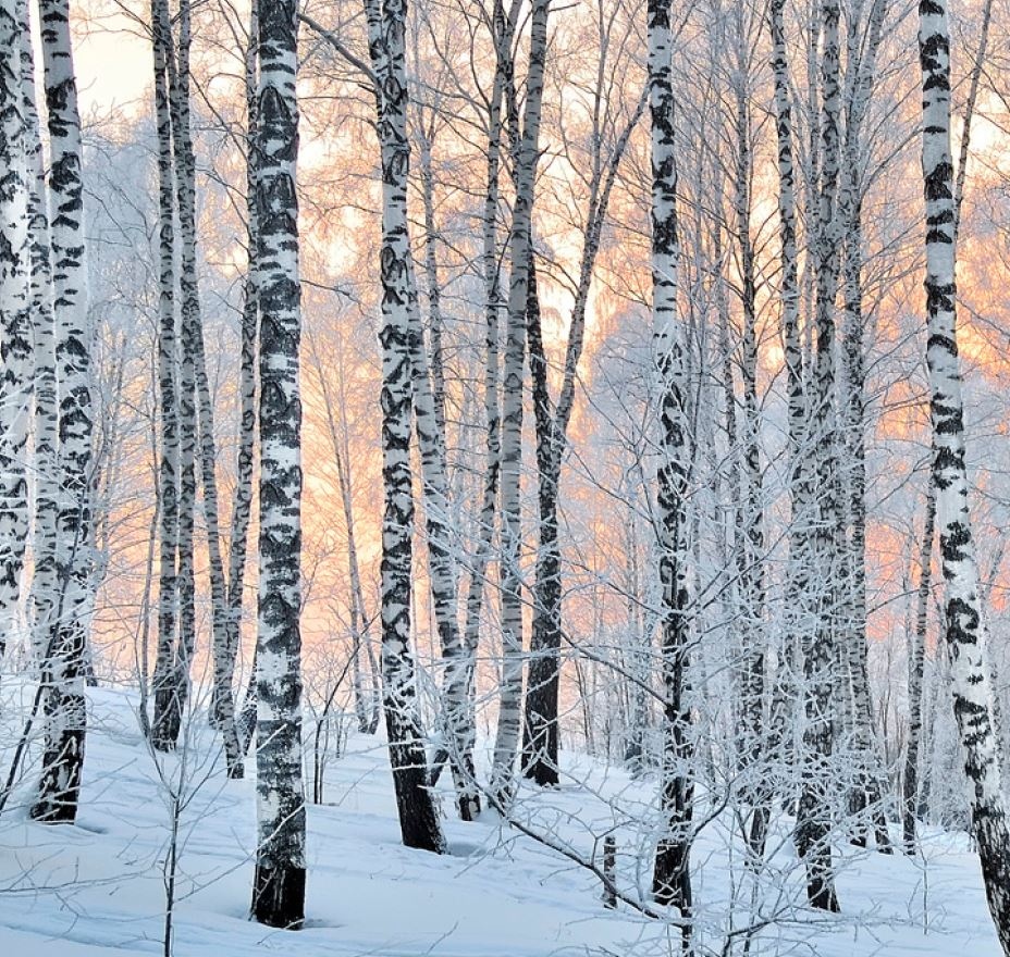 OneCircleCo tweet media