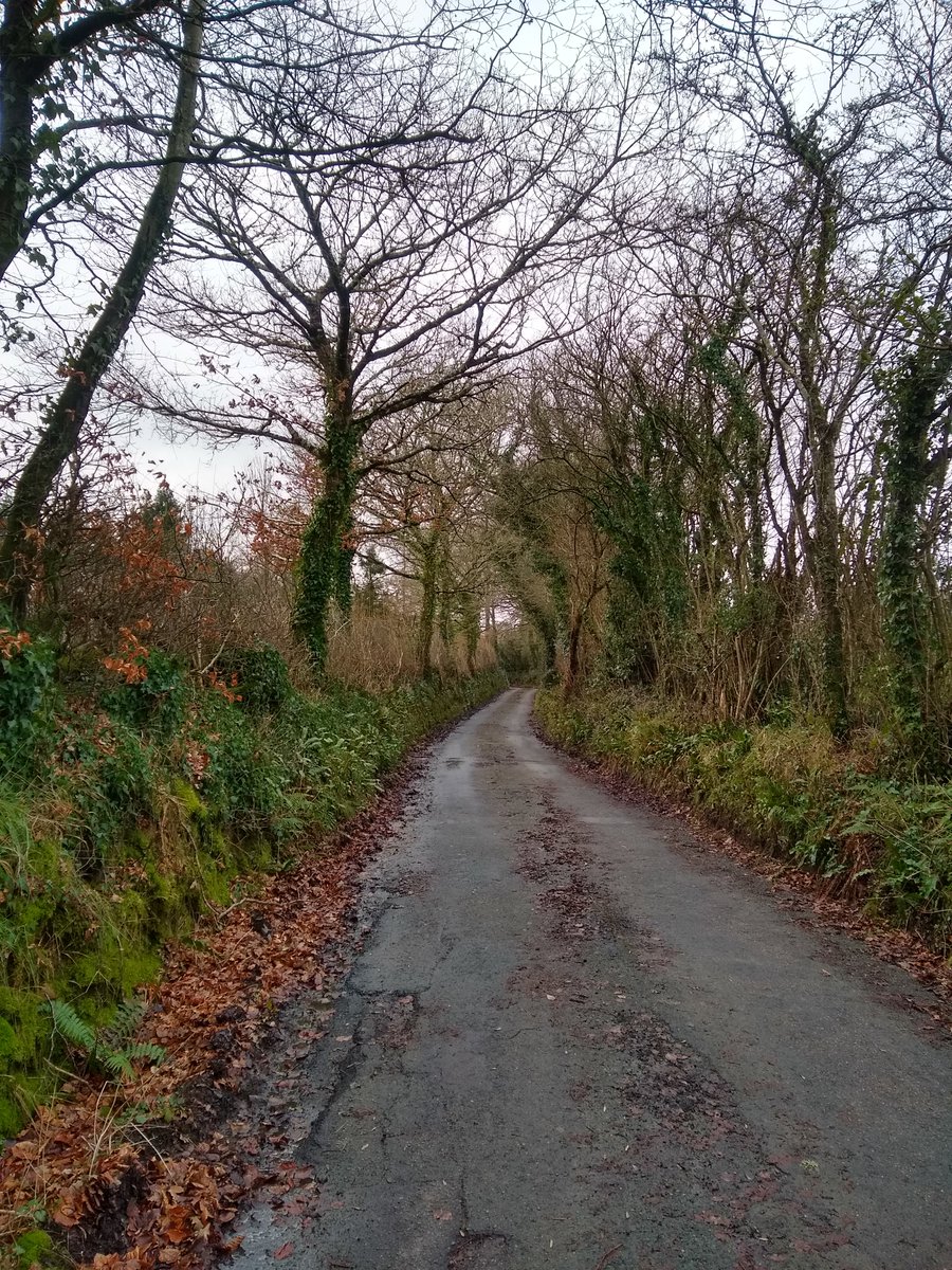 People are wonderful - back from a cycle ride where I saw people picking up rubbish and clearing leaves from ditches 💚. #communityiseverything #exbourne #jacobstowe #hatherleigh