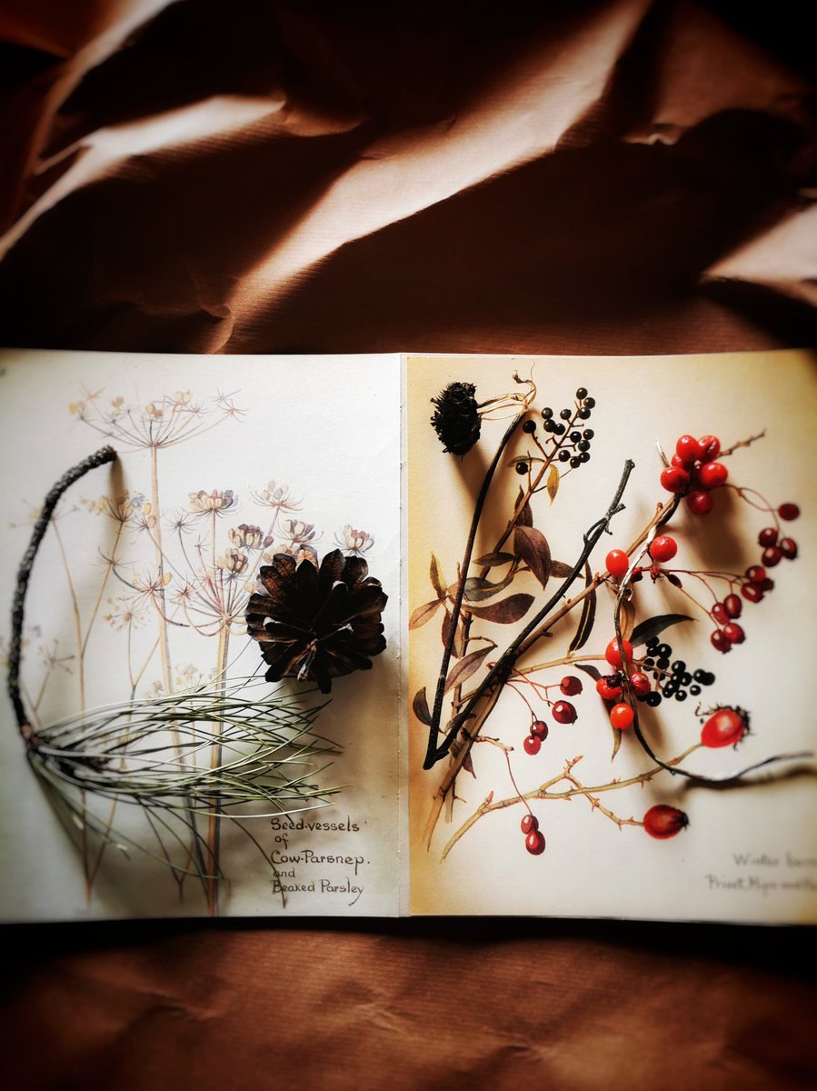 MelitaKylePhoto's tweet image. I'm currently taking part in the @64M_Artists #TheJanuaryChallenge looking at ways to stretch my creativity by following a daily prompt. This was Day 2 the word prompted was 'Love' I chose a nature inspired Collage. #EverydayCreativity