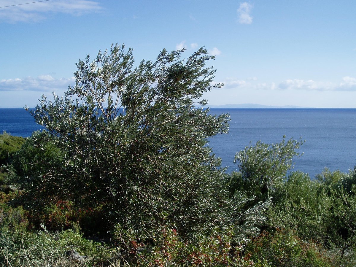 Wishing you all a happy and healthy 2021